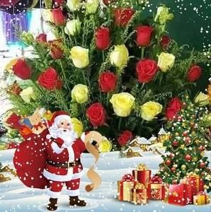 Meet your Posher, Beni